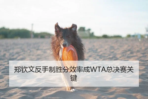 郑钦文反手制胜分效率成WTA总决赛关键